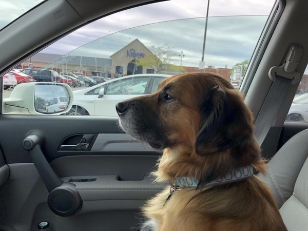 The More Things&nbsp;Change