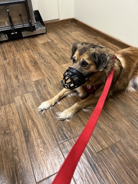 Never One to Leave Well Enough&nbsp;Alone