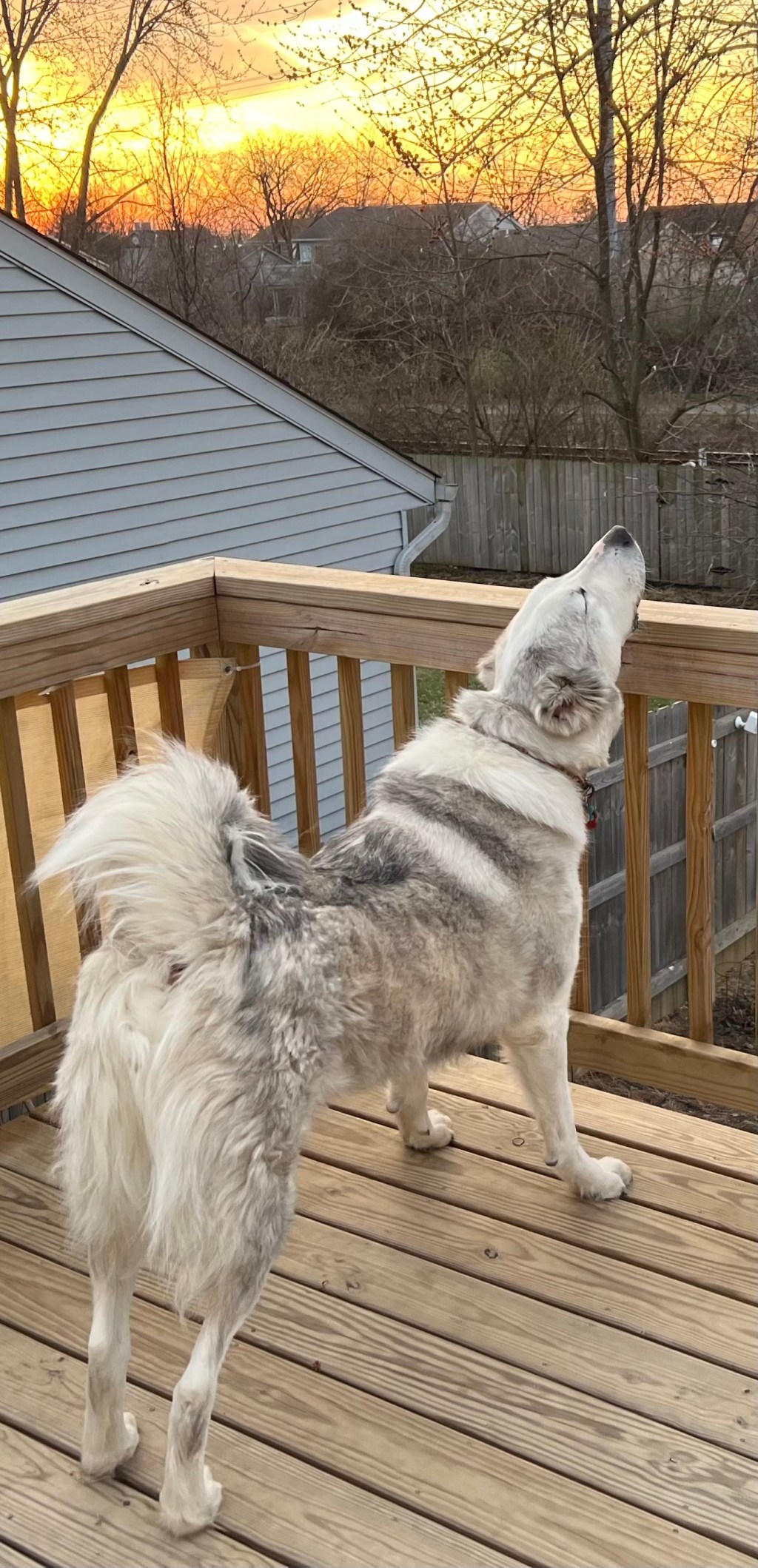 State of (my) Smart&nbsp;Home